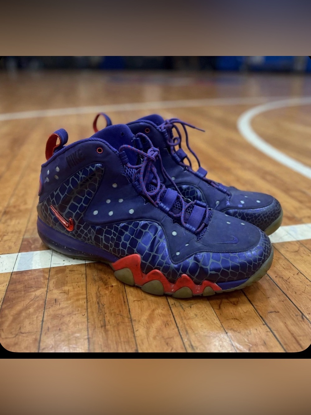 NIKE Charles Barkley Posite CB Not a Role Model Sneakers Size 14